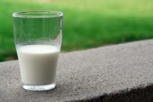 Milchviehhaltung Mitarbeiter gesucht durch EU-Agrarsubventionen