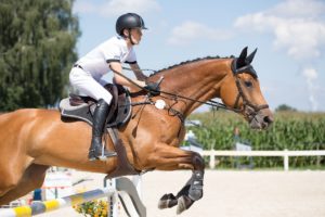 osteuropäische Pferdepfleger – Verladetraining für Pferde