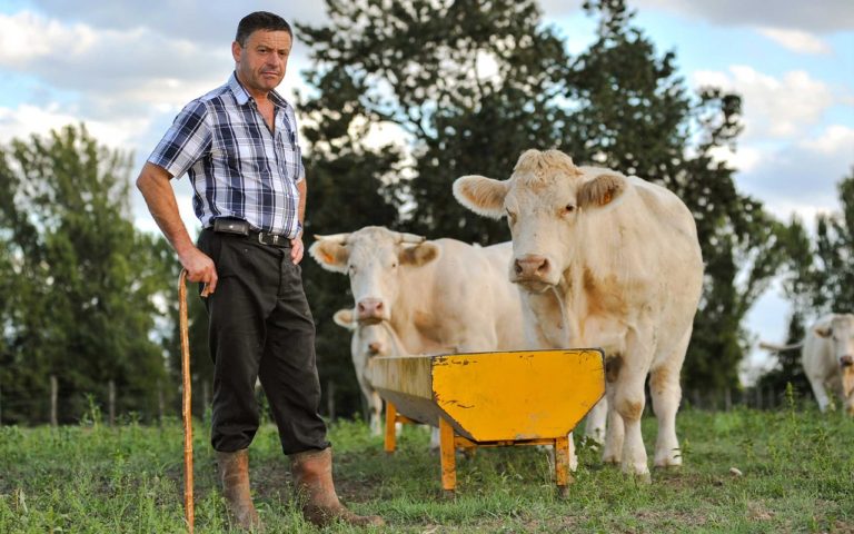 suche landwirtschaftlichen Mitarbeiter - Kosten reduzieren